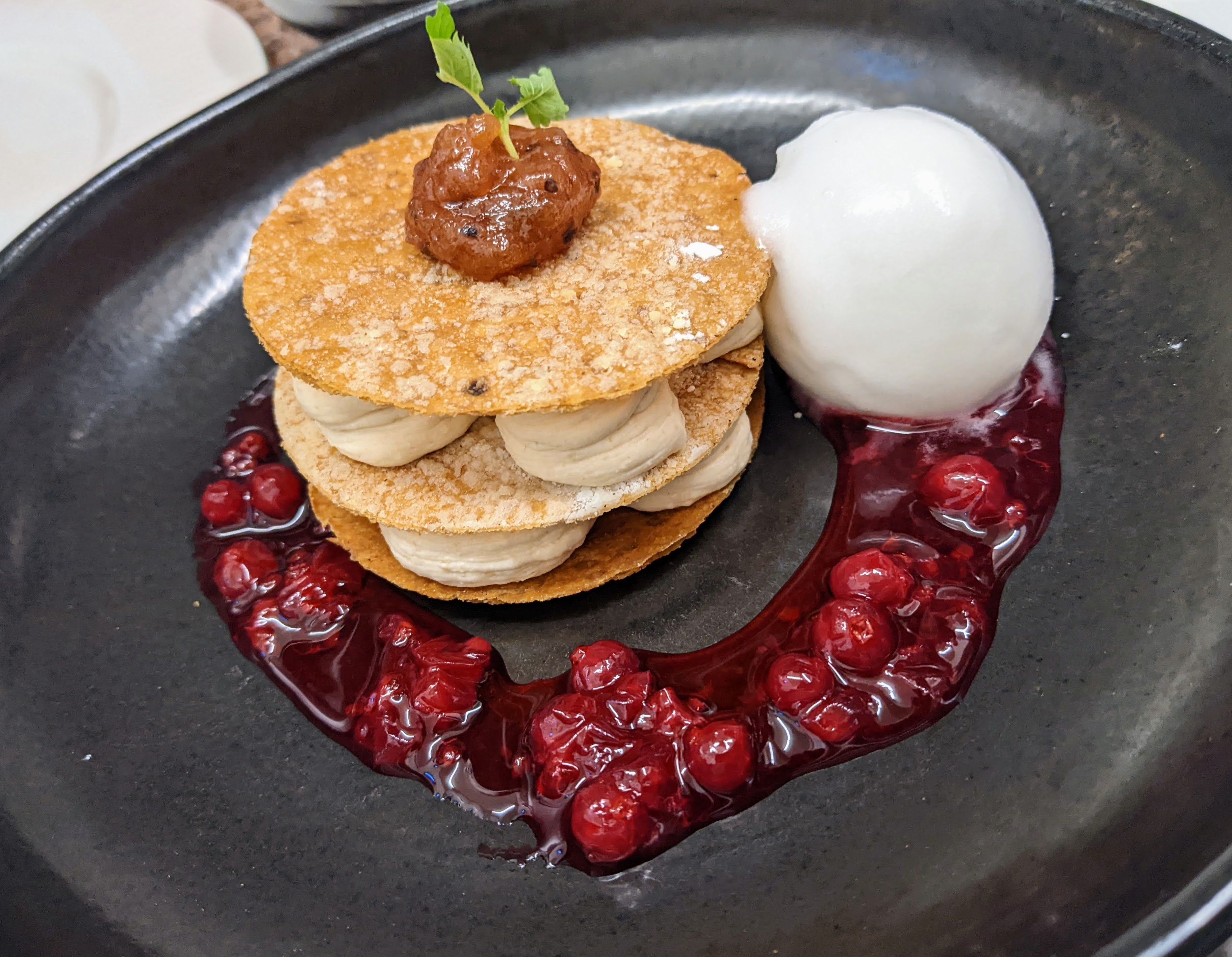 A black bowl, containing a layered gooseberry fool, surrounded by redcurrant sauce with a ball of elderflower sorbet.