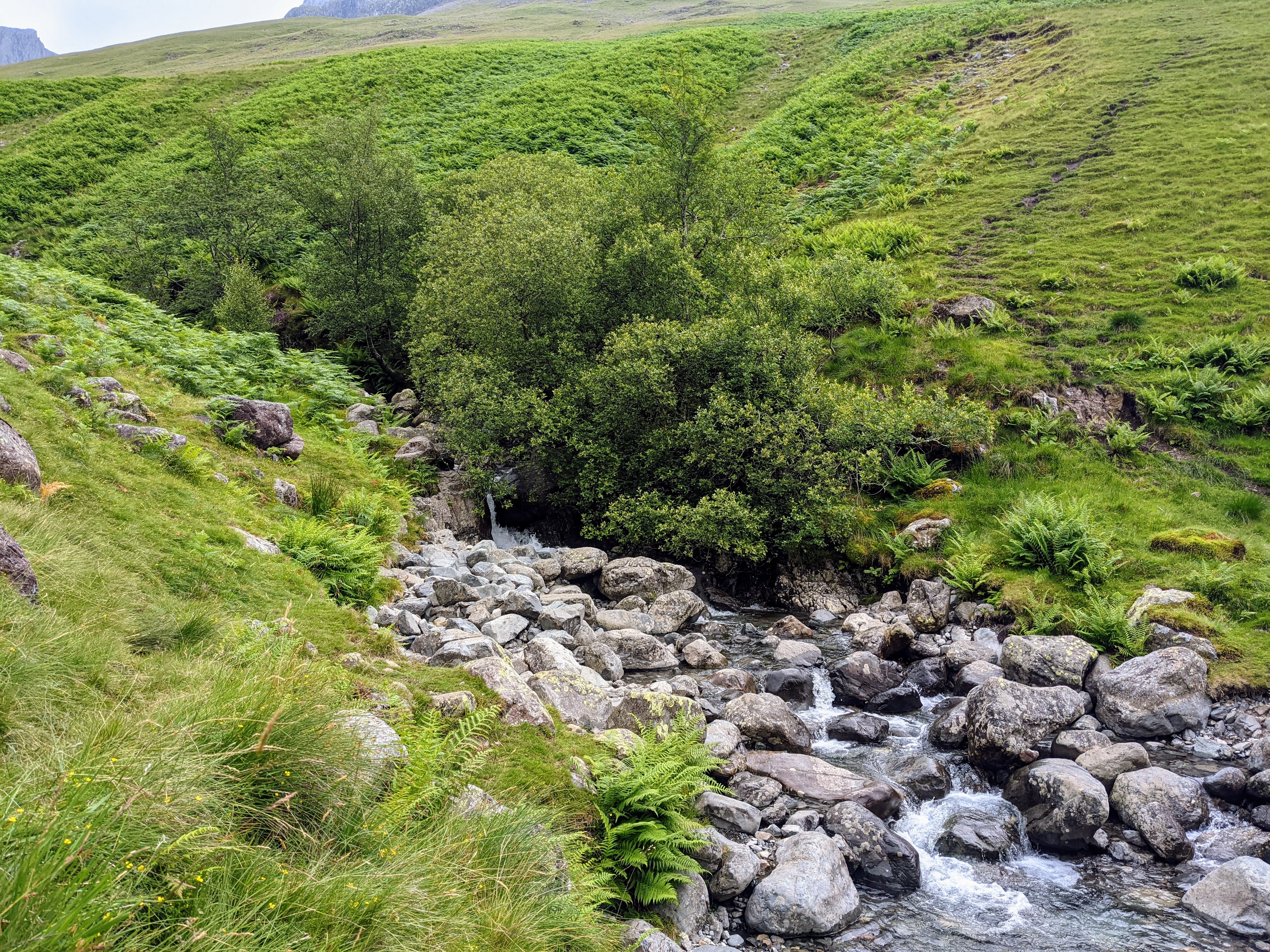 A photograph of rocky stream, close to the base of Scafell.